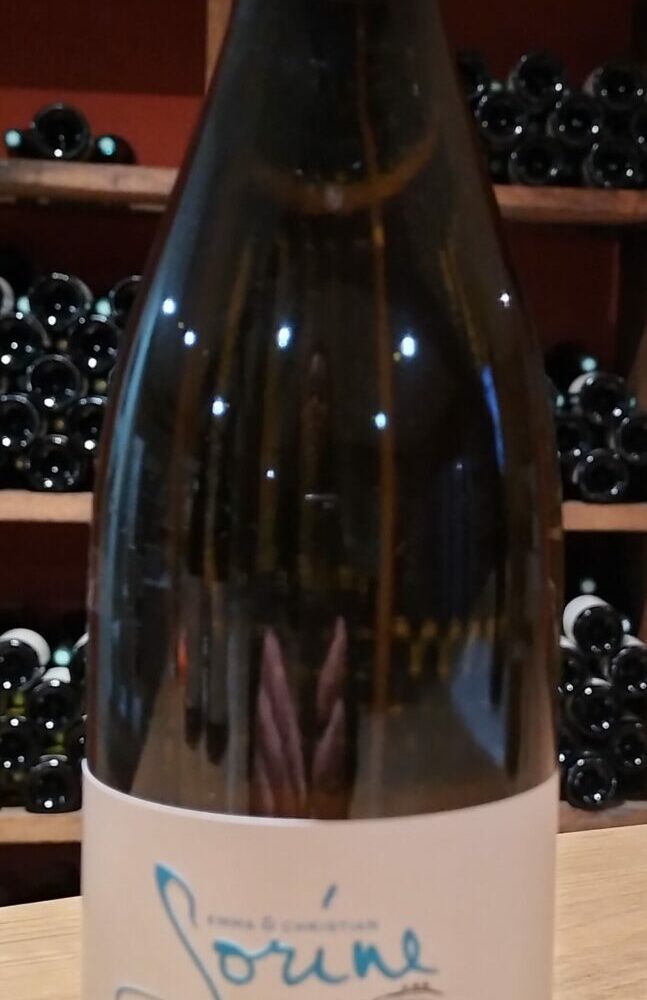 Chassagne-Montrachet blanc « Les Benoites » – Domaine Sorine - 75cl